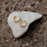 Mandy Paved Hoop Earrings
